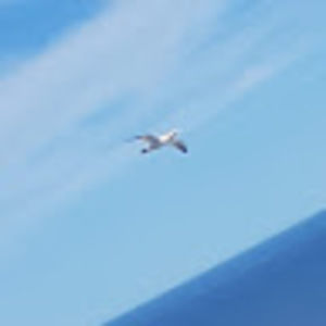 Meet your Posher, Mansouri